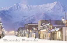scenicfernie-500x238