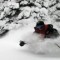 revelstoke11-500x132