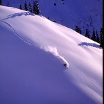 powder-field powder-field