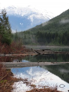 port-mcneill-and-mt-cain-0211