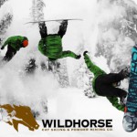 Wildhorse