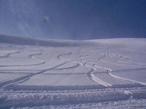 Blomidon Cat Skiing