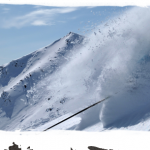 Marmot