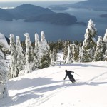 Powder King