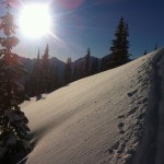 Fernie Backcountry
