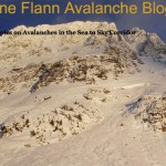 Wayne Flann Avalanche Blog