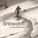 snowdrift