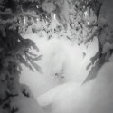 Powder skiing