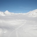 IMG_8768-1