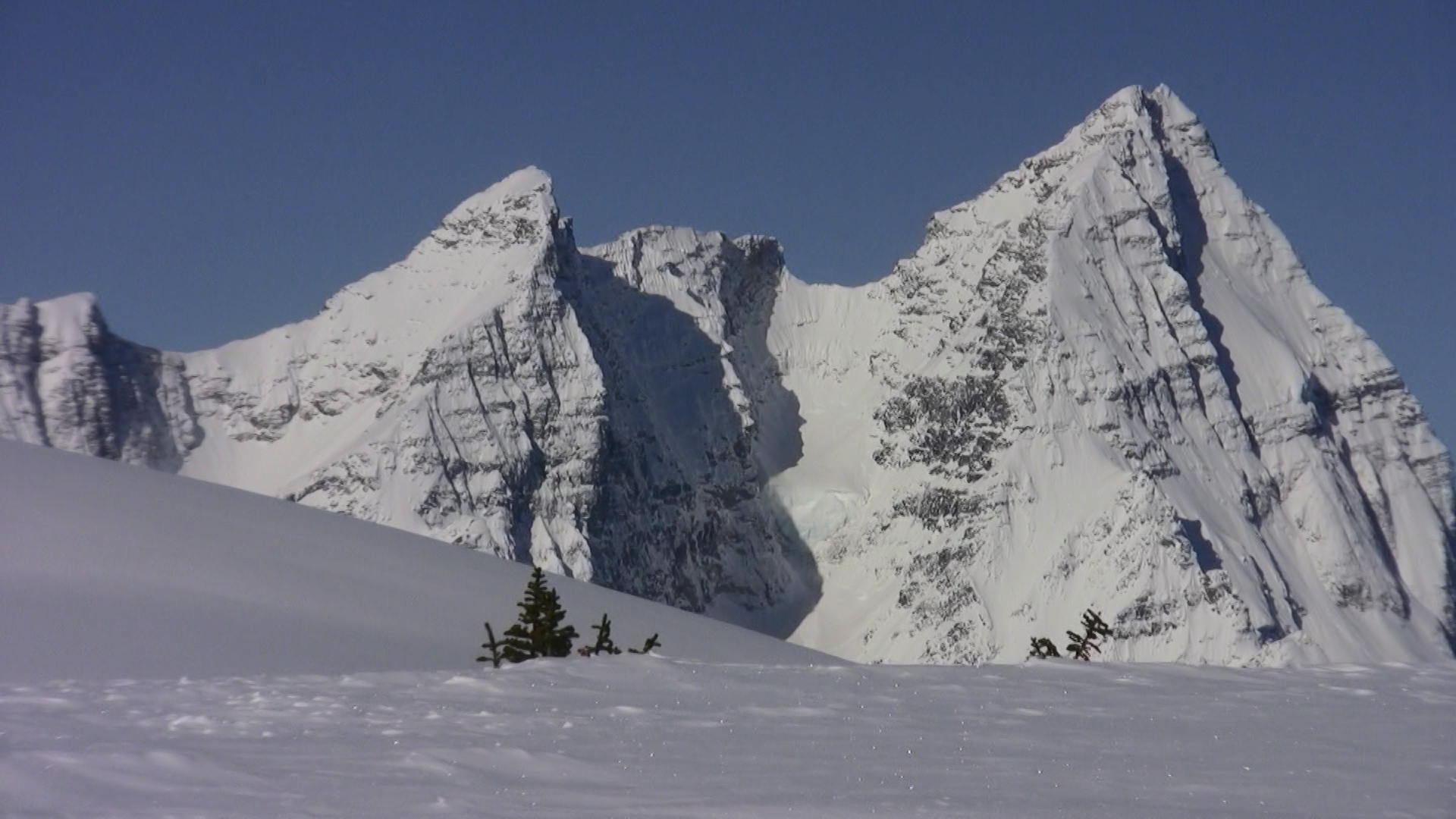 url 4 Powder Canada url 4 Powder Canada