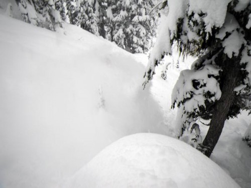 NEH deep Powder