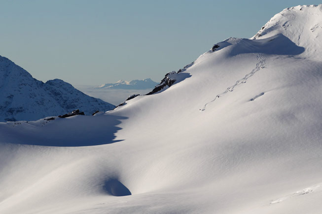 wiegele heli skiing