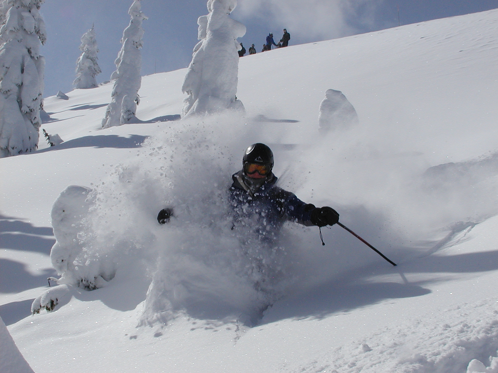 powder skiing