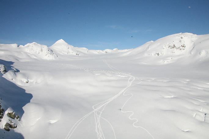 large glacier with sled tracks