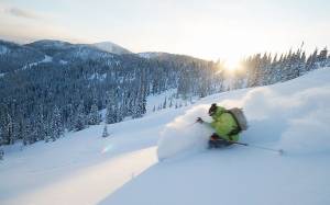 powder skiing