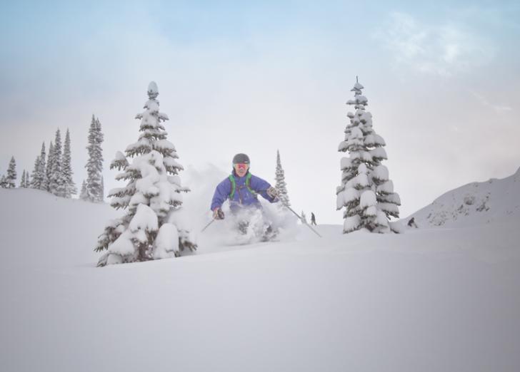 powder skiing