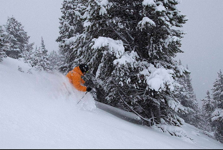 Skiing Louise powder day