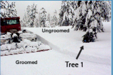 Foto A - Groomed vs. Ungroomedtree1.png Snow Cat creând zăpadă îngrijită Arborele 1 în zona neamenajată.