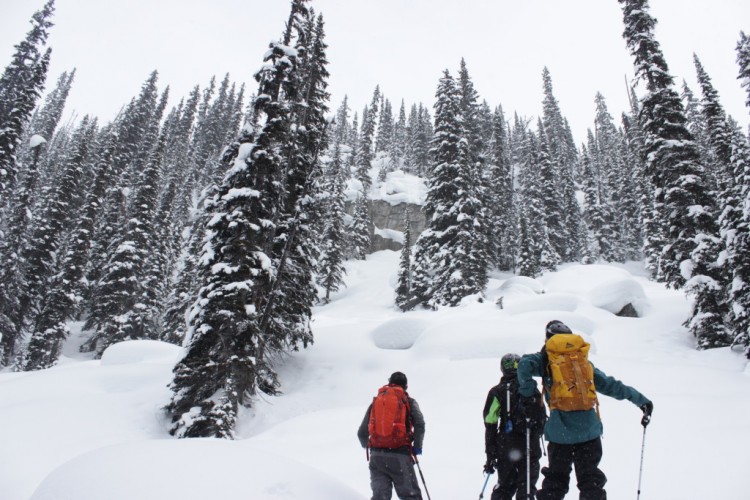 Icefall Lodge offers some sick terrain. 