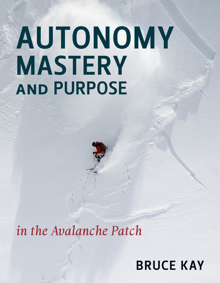 Autonomy-Mastery-and-Purpose-in-the-Avalanche-Patch