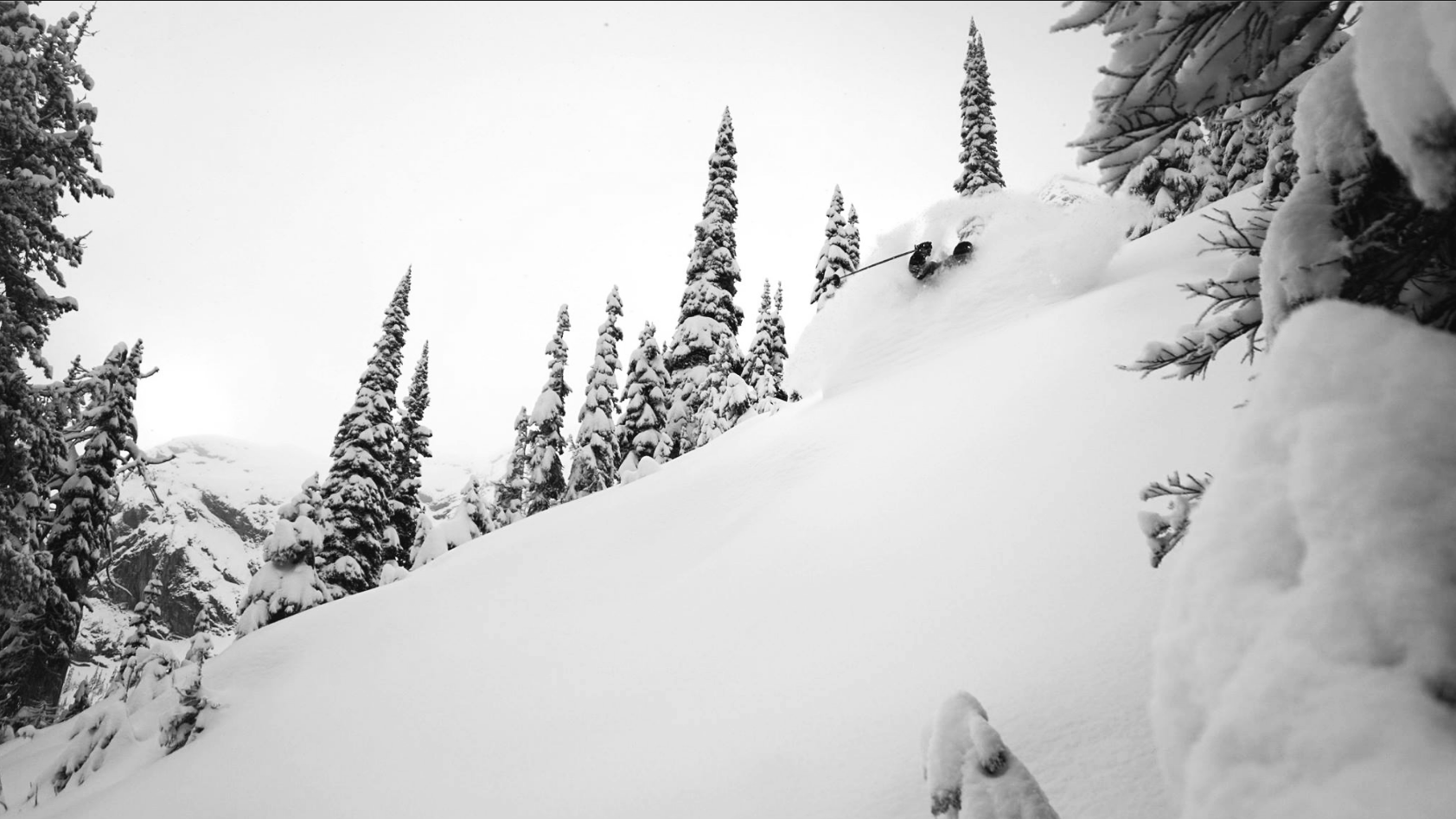 Fernie Powder Nov 17