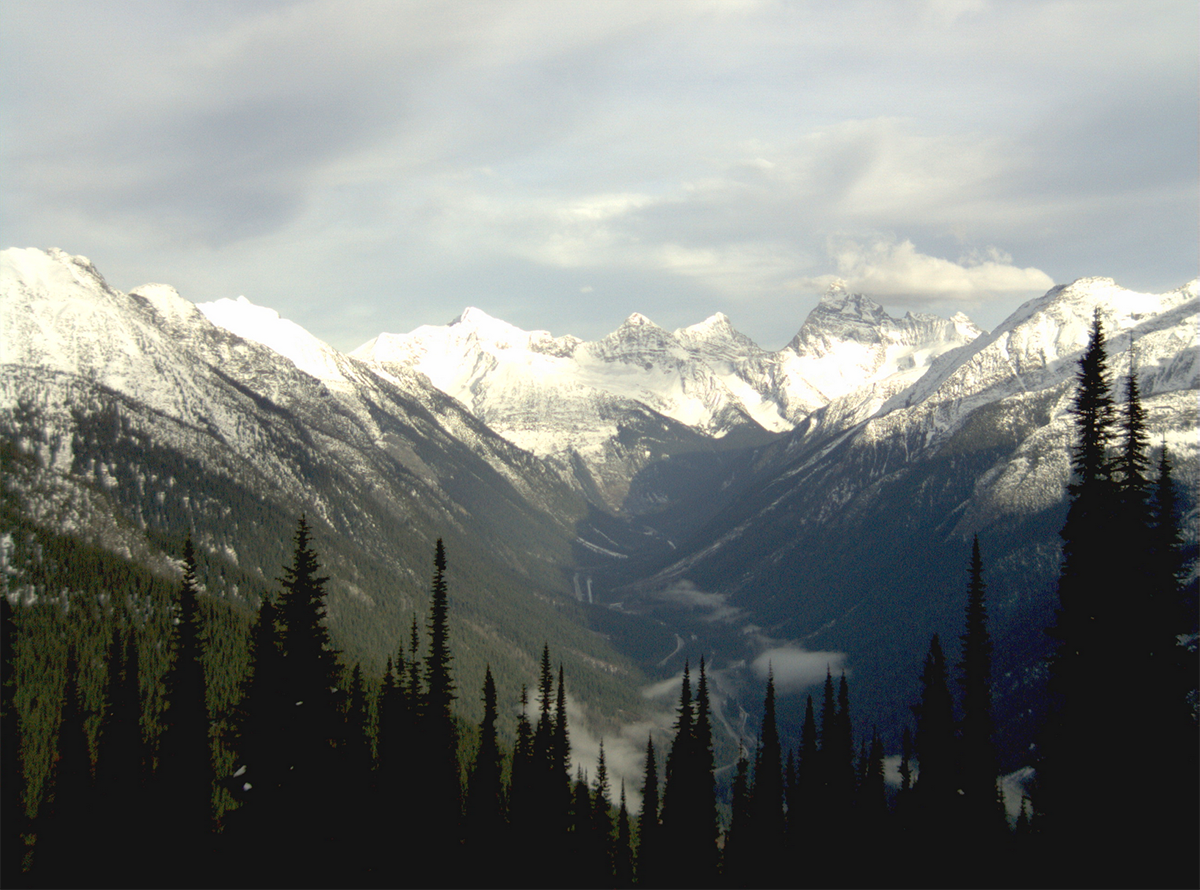Rogers Pass weather cam