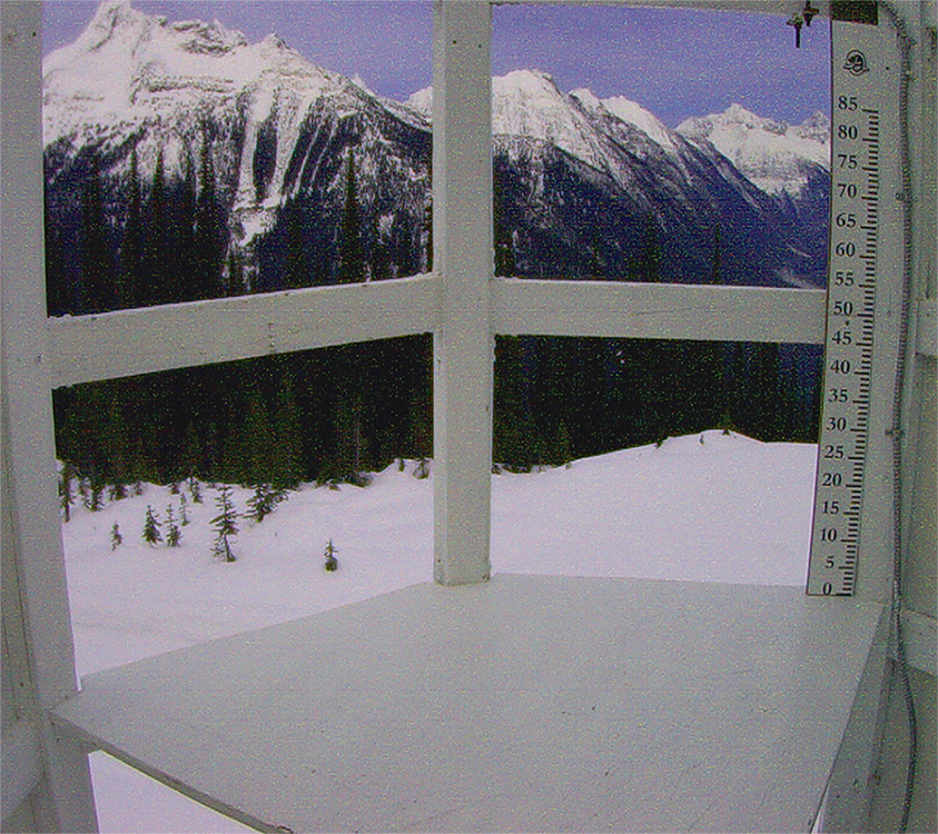 Rogers pass snow board