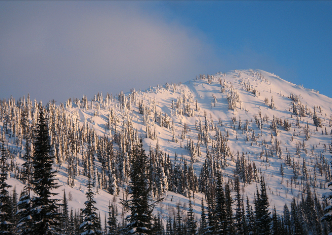 Qua Peak Avalanche Death