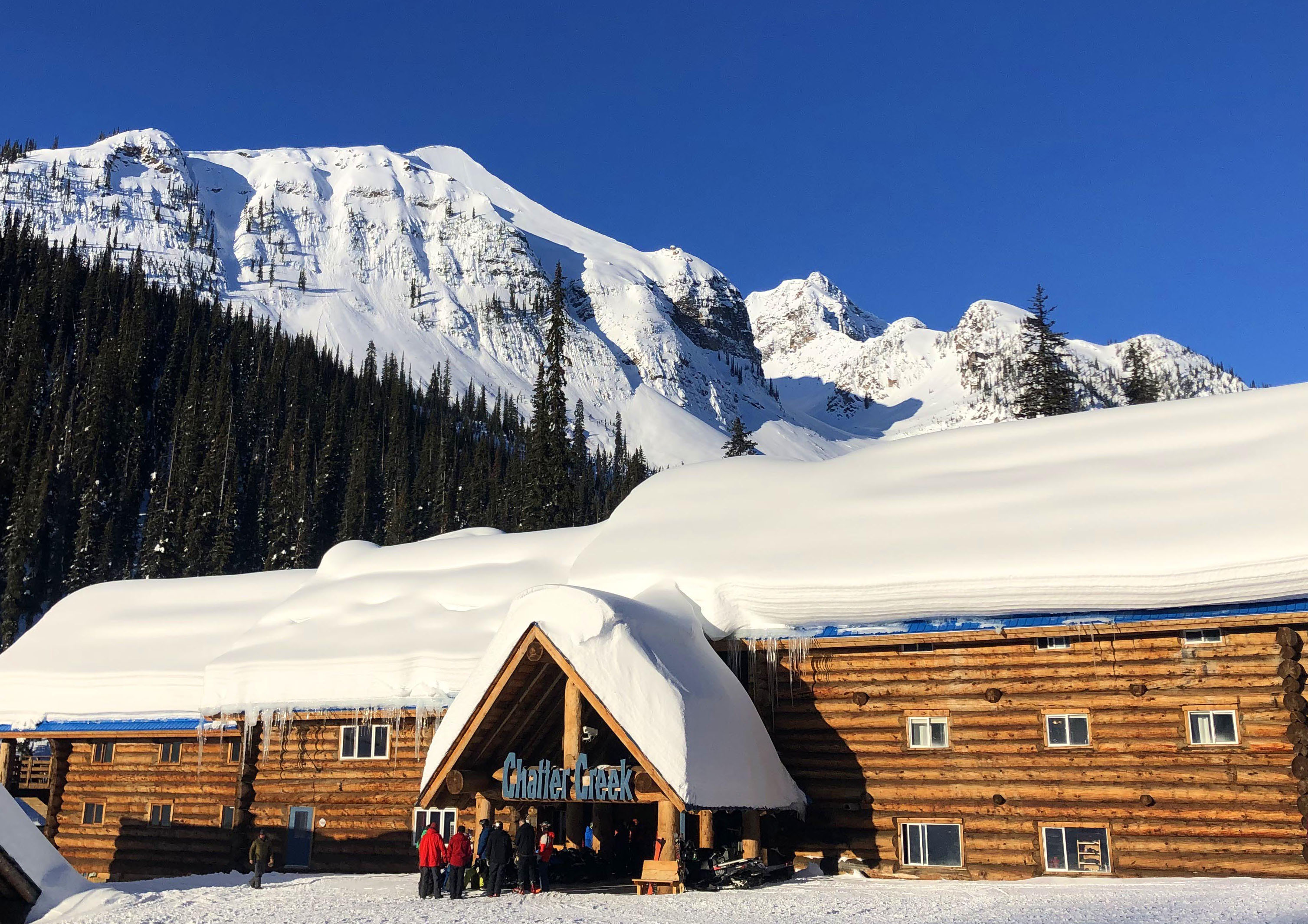 Chatter Creek Cat-Skiing – Powder Canada