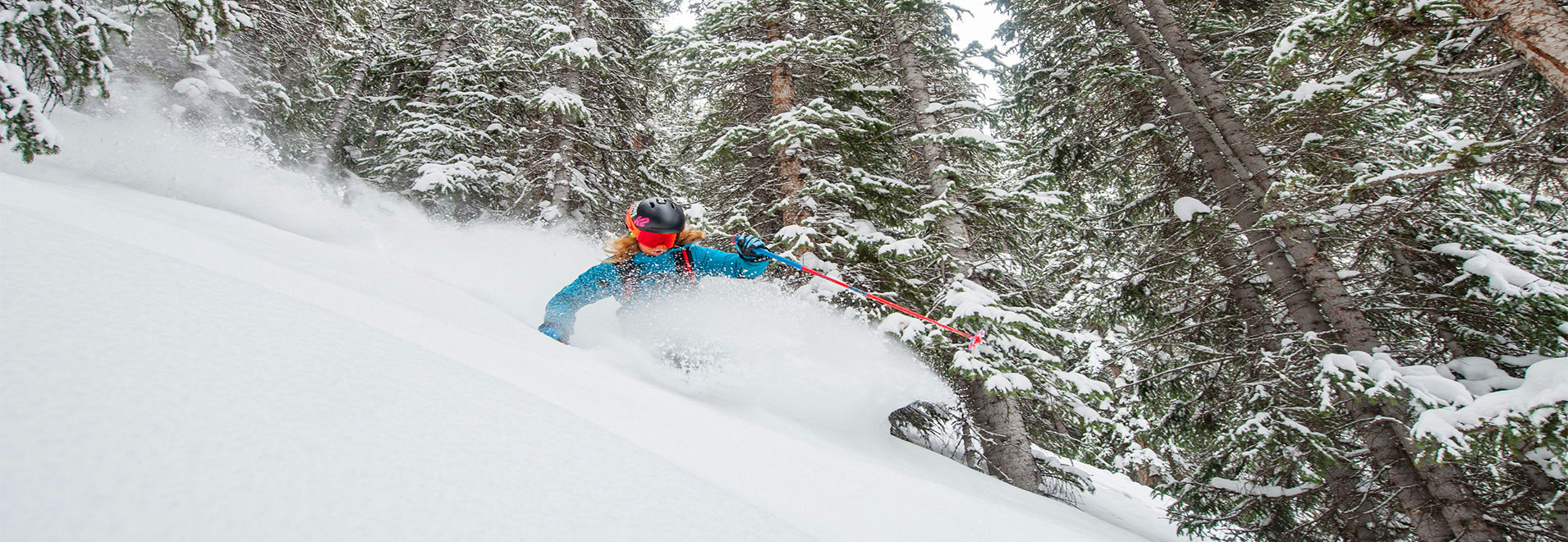 Powder Canada - The World's Best Powder