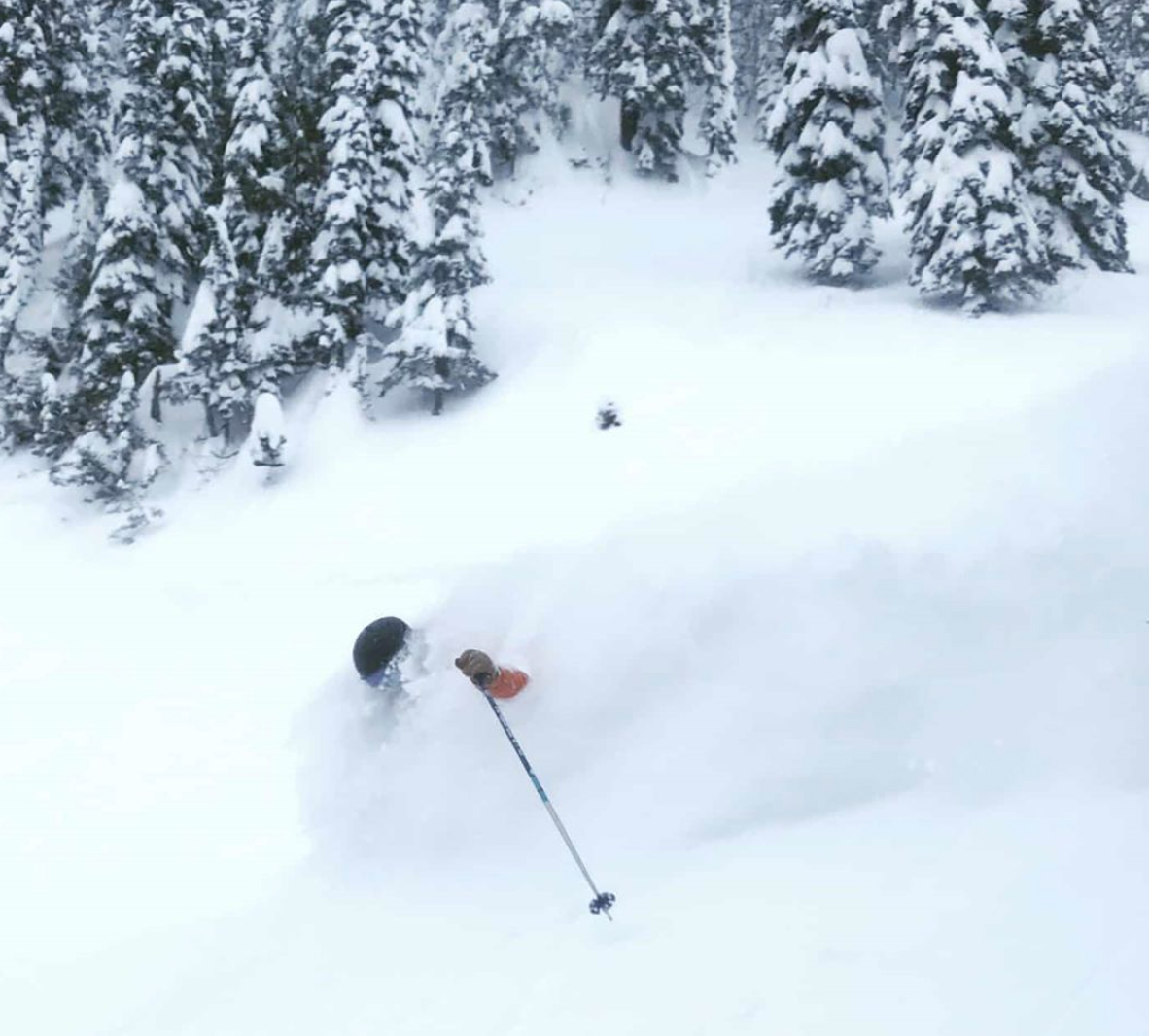 bc powder skier faceshots - Powder Canada