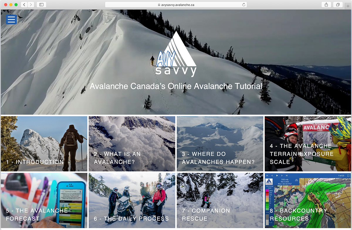 Avy Avalanche Canada's Online Avalanche Powder