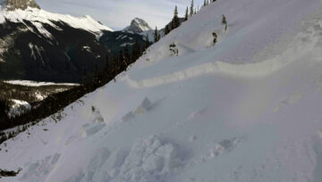 The Persisting Surface Hoar Layer from January Remains Avalanche Concern