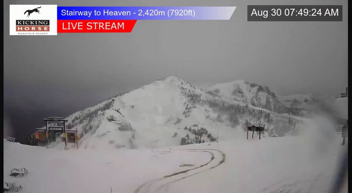 August Powder